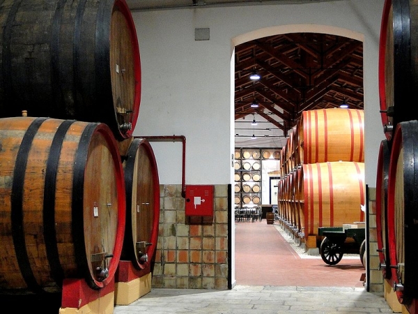 Zdjęcie z Włoch - Marsala - w wytwórni win.
