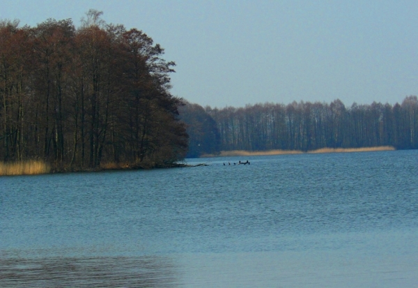 Zdjęcie z Polski - Jezioro w Brajnikach 