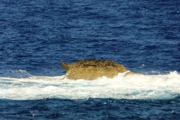Zdjęcie z Malty - skałka "żółwik" :)