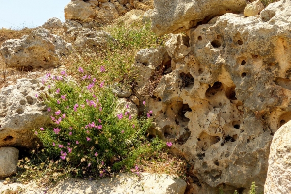 Zdjęcie z Malty - miejsce to zdumiewa jak wyobrazimy sobie wiek tej budowli;