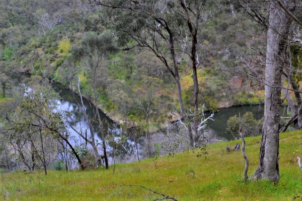 Zdjęcie z Australii - W dole rzeka Warri Parri, zaraz bedziemy do niej schodzic