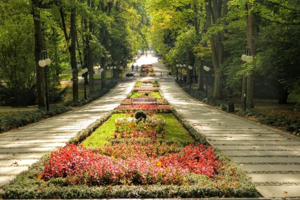 Zdjęcie z Polski - widok z altanki na dywan kwiatowy - mimo jesieni ciągle kolorowy:)