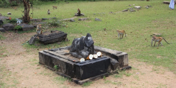 Zdjęcie ze Sri Lanki - religia