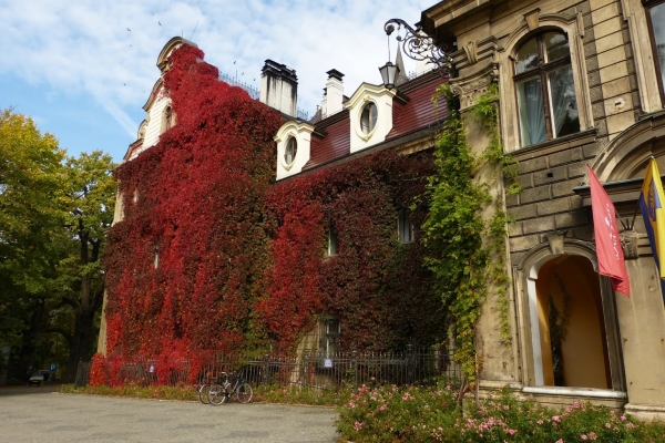 Zdjęcie z Polski - Pałac w jesiennej szacie