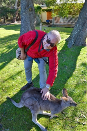 Zdjęcie z Australii - Pozdrowienia od kangura z kangurem :)))