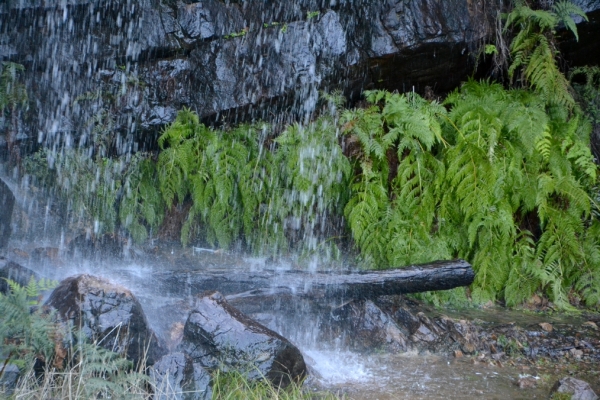Zdjęcie z Australii - Wodospad Clematis Falls