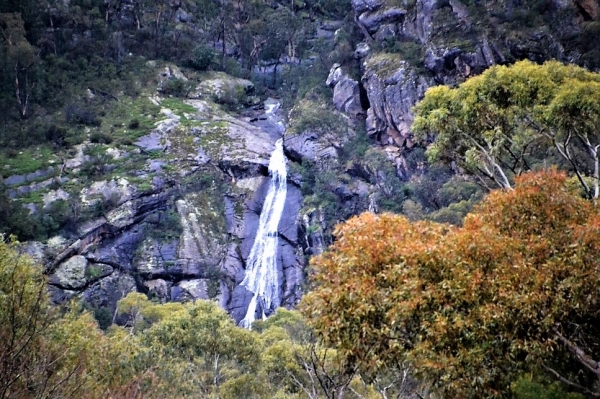Zdjęcie z Australii - Wodospad Clematis Falls widziany z naszego osrodka