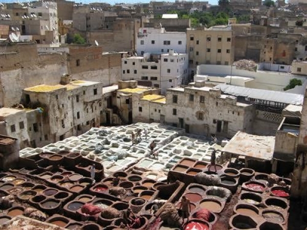 Zdjęcie z Maroka - garbarnia w Fes