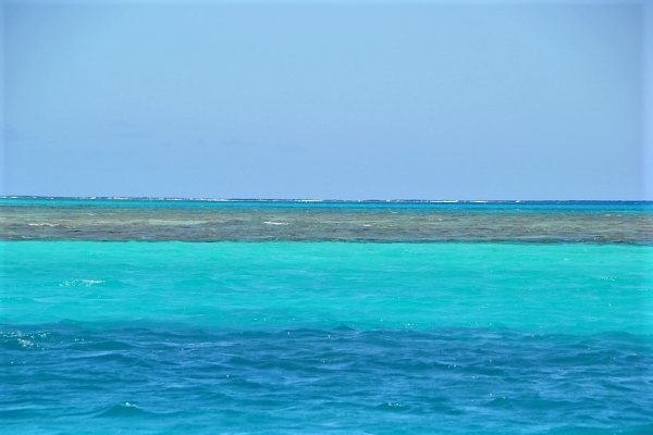 Zdjęcie z Vanuatu - Rafa koralowa