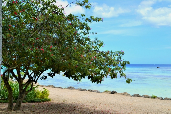 Zdjęcie z Vanuatu - Na nadmorskim deptaku