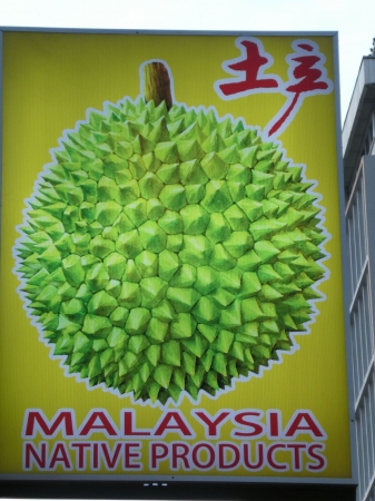 Zdjecie - Malezja - Malezja-Kuala Lumpur; Langkawi