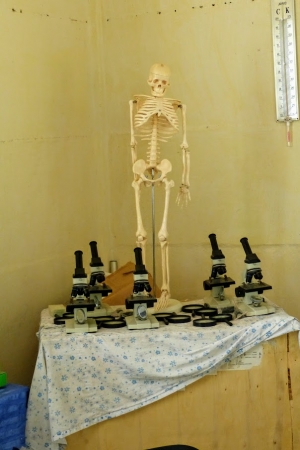 Zdjęcie z Kuby - pomoce naukowe w pracowni anatomicznej :)