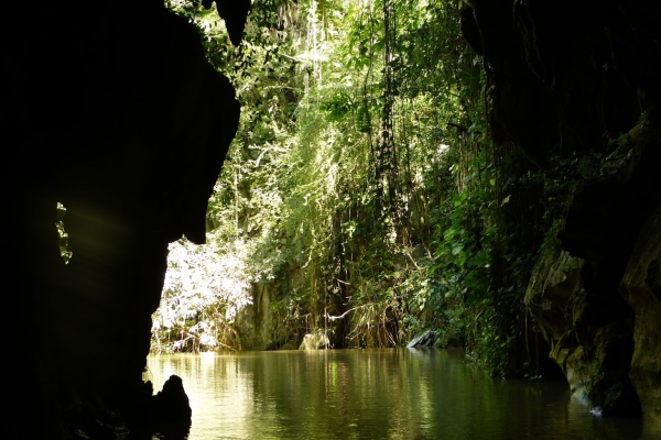 Zdjęcie z Kuby - ładne miejsce... zielono, dżunglowato, tajemniczo...
