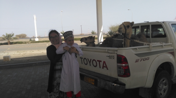 Zdjęcie z Omanu - Kupili dromadery na targu
