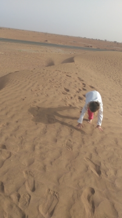 Zdjęcie z Omanu - Do prawdziwej pustyni piaszczystej nie dotarlismy.