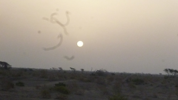 Zdjęcie z Omanu - Poranne slonce w Omanie