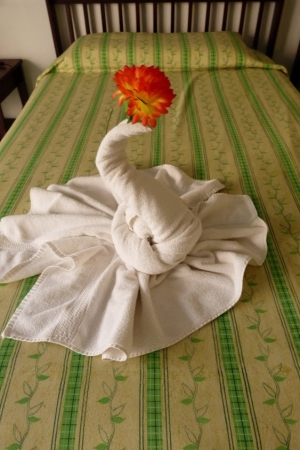 Zdjęcie z Kuby - ręcznikowe cudaki😊