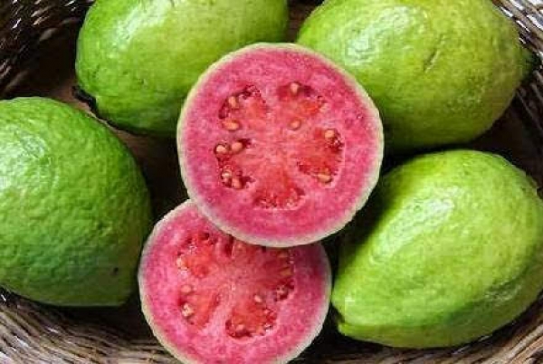 Zdjęcie z Kuby - guava - owoc którego zjadłam na Kubie chyba łącznie  z 10 kilo! 😊