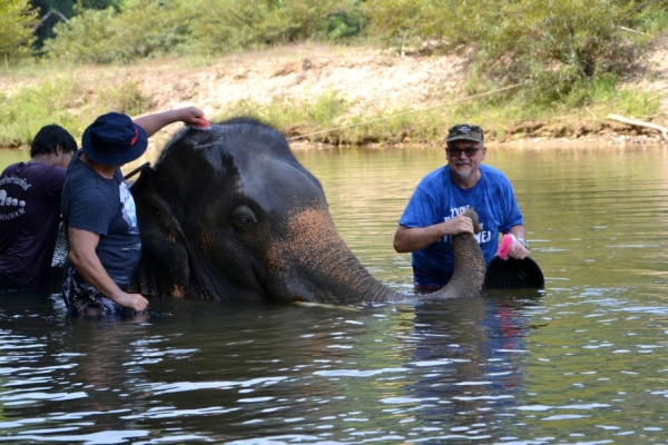 Zdjęcie z Tajlandii - Pucowanie slonia czas zaczac :)