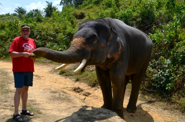 Zdjęcie z Tajlandii - Tankowanie slonia :)
