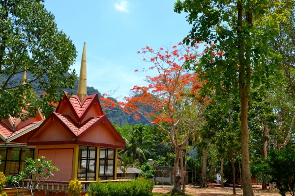 Zdjęcie z Tajlandii - Budynki swiatyni Wat Sok Tham Phanthurat