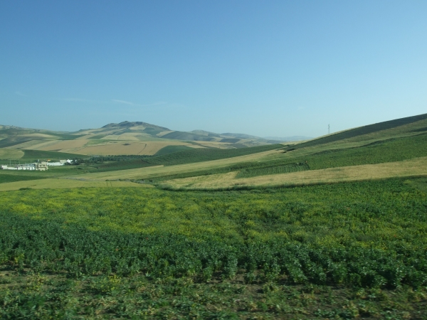 Zdjęcie z Maroka - rolnicze Maroko