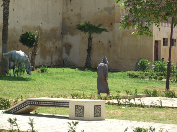 Zdjęcie z Maroka - na placu Lalla Auda