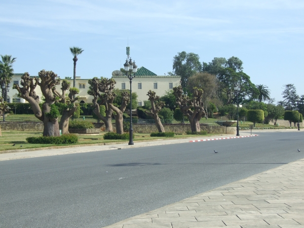 Zdjęcie z Maroka - okolice pałacu