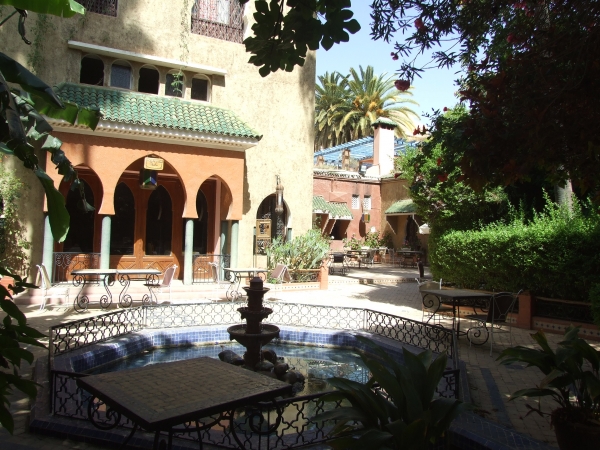 Zdjęcie z Maroka - w ogrodzie