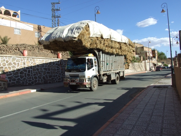 Zdjęcie z Maroka - "znane" ciężarówki