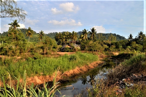 Zdjęcie z Tajlandii - Za rzeka jakies gospodarstwo