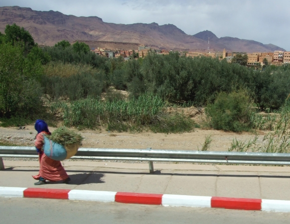 Zdjęcie z Maroka - nie tylko osły