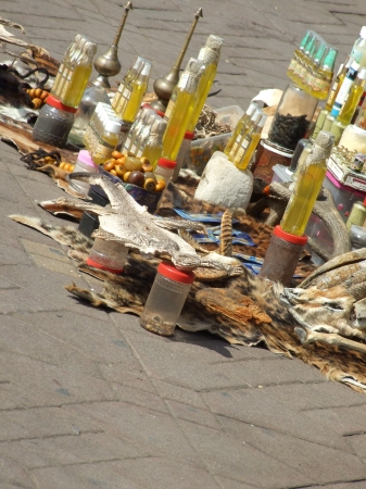 Zdjęcie z Maroka - skóry i wysuszone jaszczury
