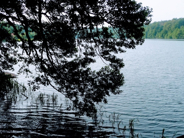 Zdjęcie z Polski - Jezioro Szeląg Mały 
