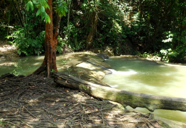 Zdjęcie z Tajlandii - Rzeka tworzy płytkie sadzawki