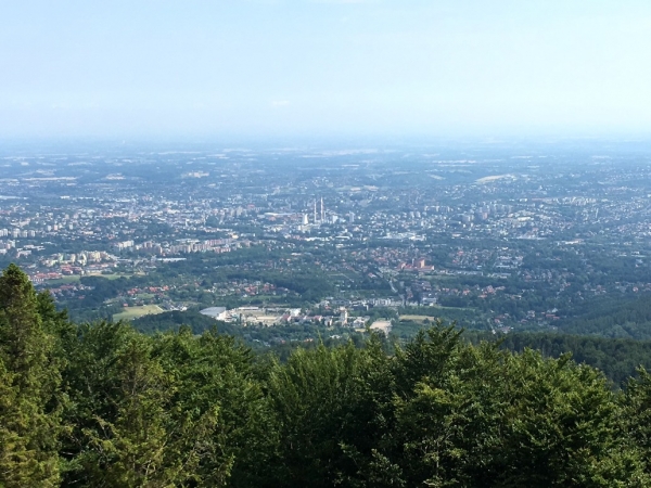 Zdjęcie z Polski - Panorama z wieży widokowej