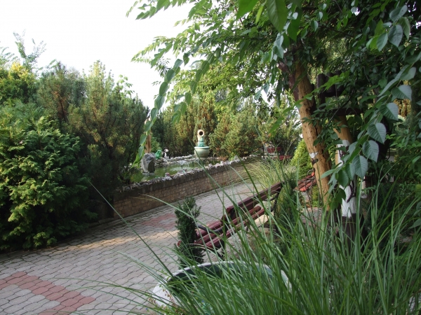 Zdjęcie z Bułgarii - ogród pensjonatu
