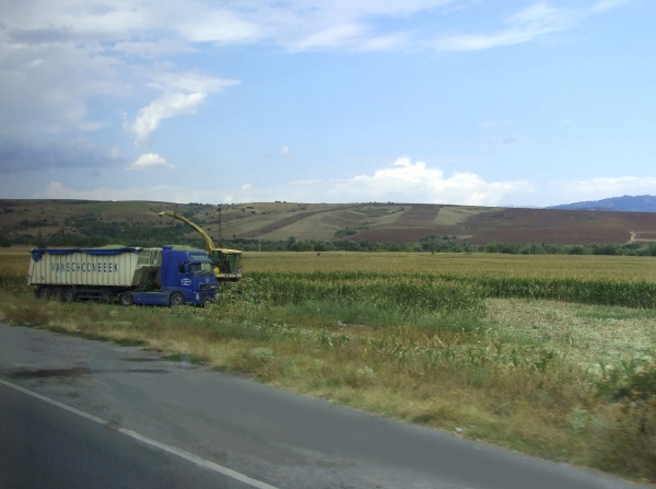 Zdjęcie z Bułgarii - zbiór (siekanej) kukurydzy