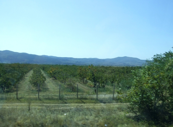 Zdjęcie z Bułgarii - z okna autokaru