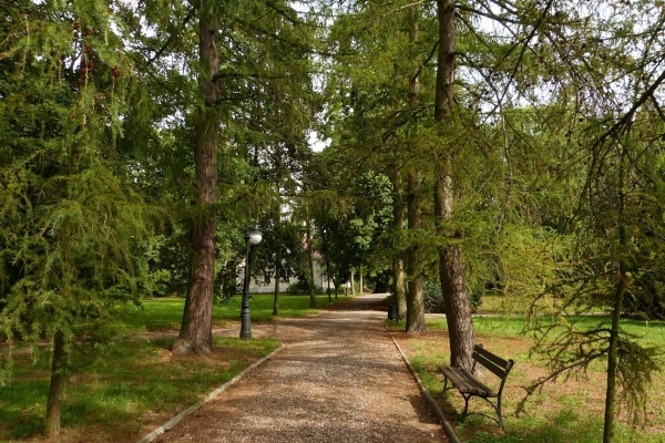 Zdjęcie z Polski - park wokół dworu