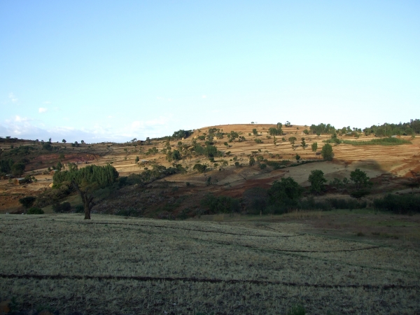Zdjęcie z Etiopii - dojeżdżamy do noclegu w Bahir Dar