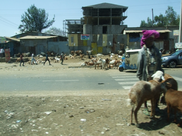 Zdjęcie z Etiopii - wjeżdżamy do miasteczka