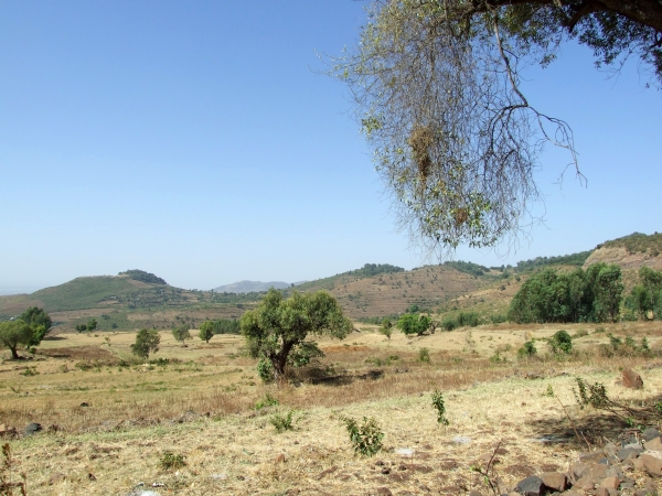 Zdjęcie z Etiopii - okoliczne widoki