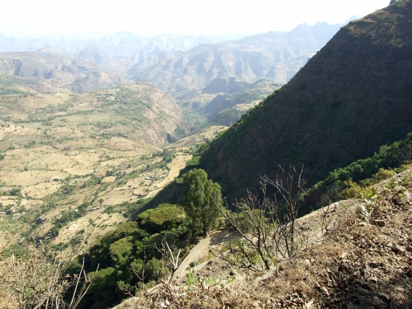Zdjęcie z Etiopii - 