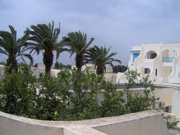Zdjecie - Tunezja - Nabeul