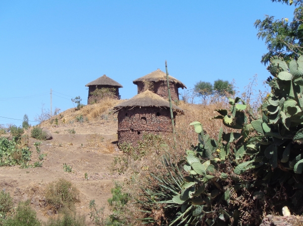 Zdjęcie z Etiopii - kamienne domki