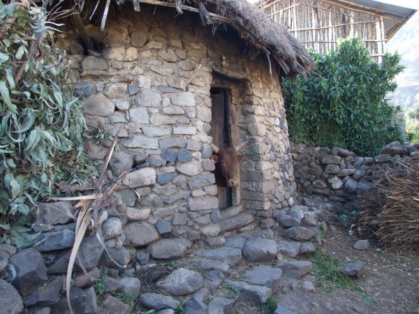 Zdjęcie z Etiopii - obórka