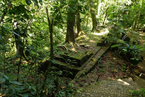 Zdjęcie z Meksyku - dżungla, która pochłania majańskie budowle