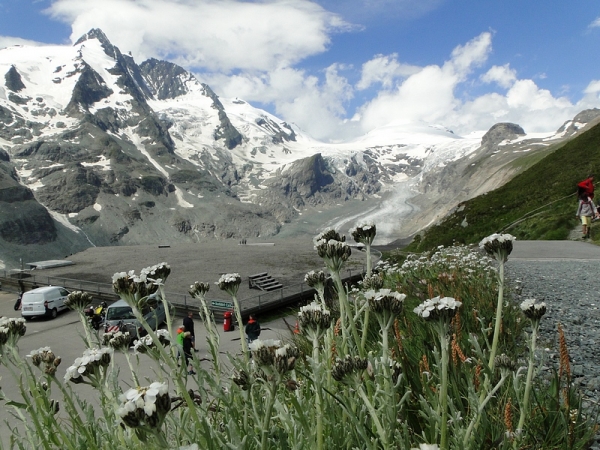 Zdjęcie z Austrii - Tych kwiatków nazwy nie rozszyfrowałam. Ale widok za nimi super 😊