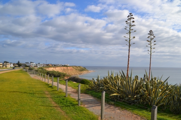 Zdjęcie z Australii - Aldinga Beach - nadmorska droga i widok na cypel Snapper Point